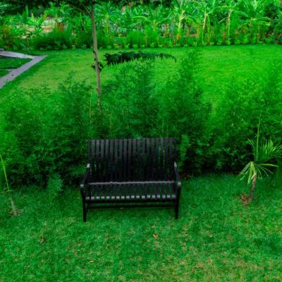 Bench The Rest